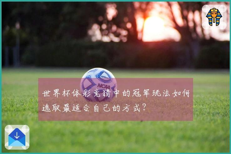 世界杯体彩竞猜中的冠军玩法如何选取最适合自己的方式？
