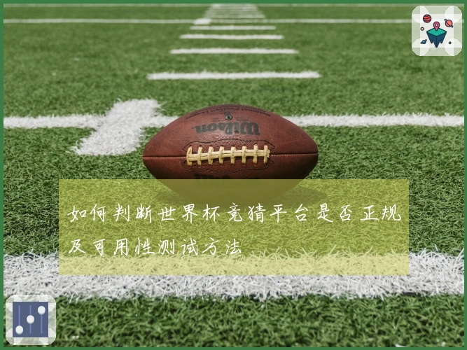 如何判断世界杯竞猜平台是否正规及可用性测试方法